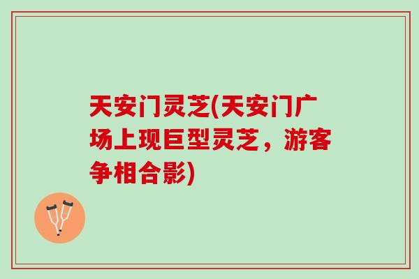 天安门灵芝(天安门广场上现巨型灵芝，游客争相合影)