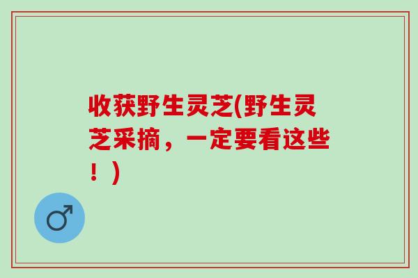 收获野生灵芝(野生灵芝采摘，一定要看这些！)