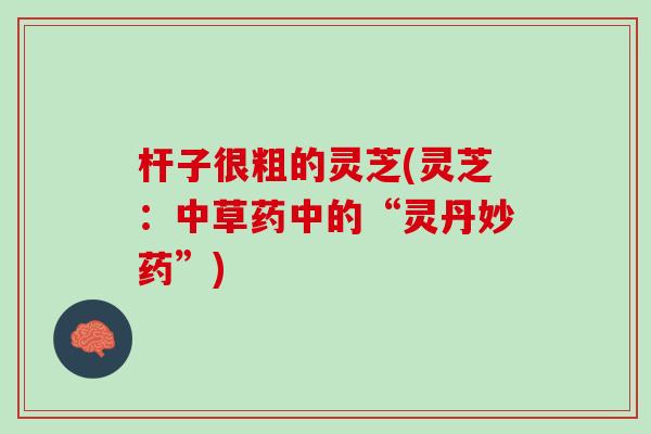 杆子很粗的灵芝(灵芝:中草药中的“灵丹妙药”) 杆子很粗的灵芝(灵芝:中草药中的“灵丹妙药”)