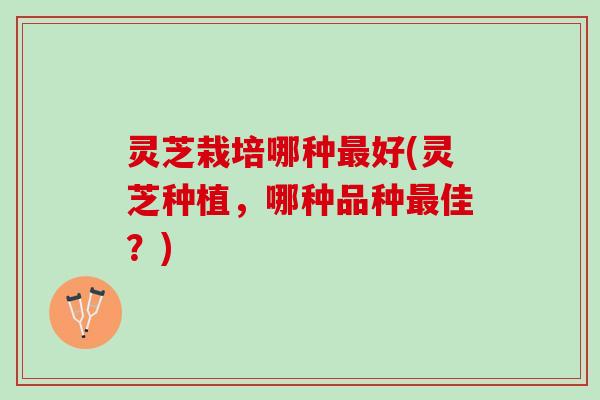 灵芝栽培哪种好(灵芝种植,哪种品种佳?) 灵芝栽培哪种好(灵芝种植,哪种品种佳?)