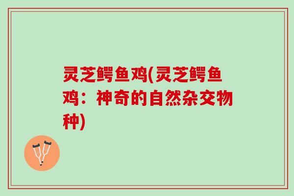 灵芝鳄鱼鸡(灵芝鳄鱼鸡：神奇的自然杂交物种)