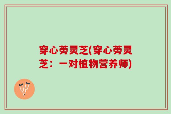 穿心蒡灵芝(穿心蒡灵芝:一对植物营养师) 穿心蒡灵芝(穿心蒡灵芝:一对植物营养师)