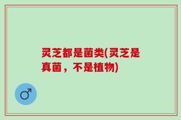 灵芝都是菌类(灵芝是真菌，不是植物)