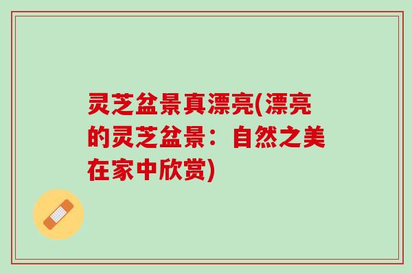 灵芝盆景真漂亮(漂亮的灵芝盆景：自然之美在家中欣赏)