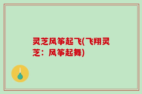 灵芝风筝起飞(飞翔灵芝：风筝起舞)