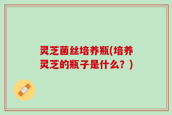 灵芝菌丝培养瓶(培养灵芝的瓶子是什么?) 灵芝菌丝培养瓶(培养灵芝的瓶子是什么?)