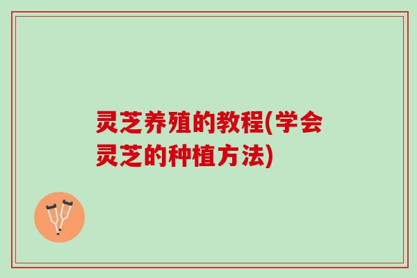 灵芝养殖的教程(学会灵芝的种植方法)