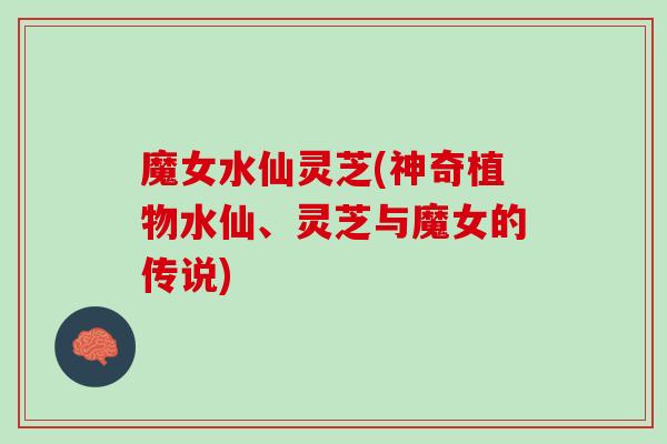 魔女水仙灵芝(神奇植物水仙、灵芝与魔女的传说)