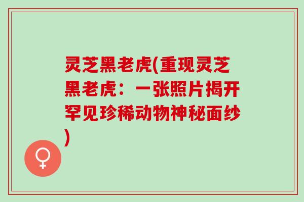 灵芝黑老虎(重现灵芝黑老虎:一张照片揭开罕见珍稀动物神秘面纱) 灵芝黑老虎(重现灵芝黑老虎:一张照片揭开罕见珍稀动物神秘面纱)