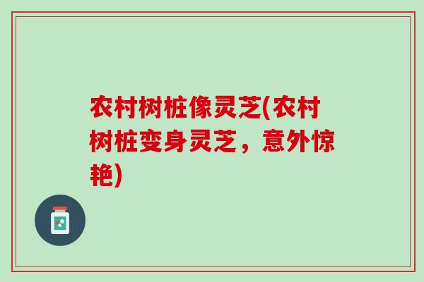 农村树桩像灵芝(农村树桩变身灵芝，意外惊艳)