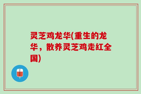 灵芝鸡龙华(重生的龙华，散养灵芝鸡走红全国)