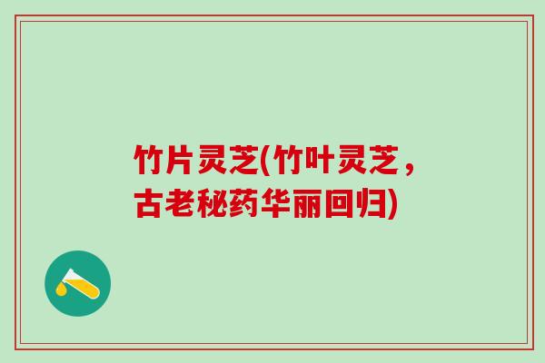 竹片灵芝(竹叶灵芝,古老秘药华丽回归) 竹片灵芝(竹叶灵芝,古老秘药华丽回归)