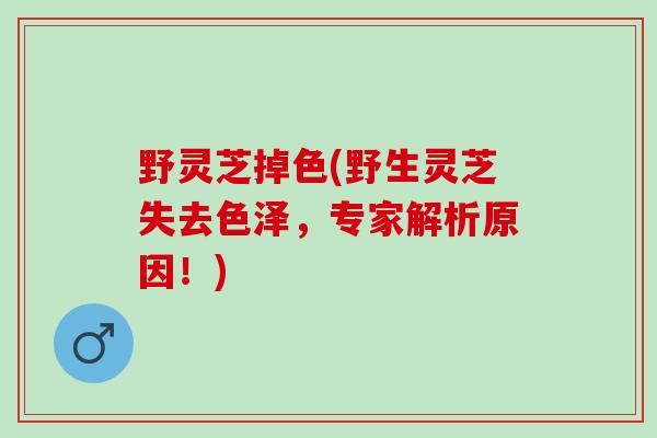 野灵芝掉色(野生灵芝失去色泽，专家解析原因！)
