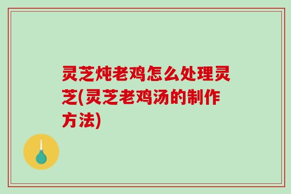 灵芝炖老鸡怎么处理灵芝(灵芝老鸡汤的制作方法)