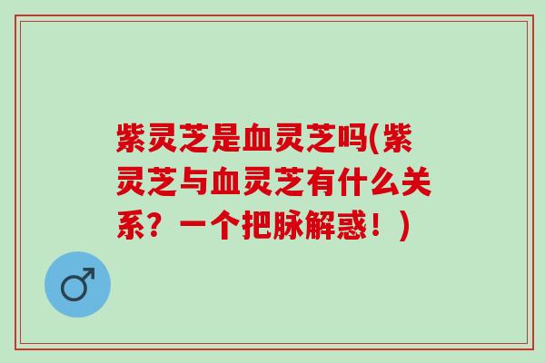 紫灵芝是灵芝吗(紫灵芝与灵芝有什么关系？一个把脉解惑！)