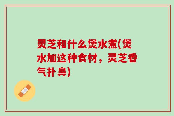 灵芝和什么煲水煮(煲水加这种食材，灵芝香气扑鼻)