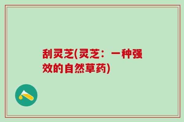 刮灵芝(灵芝：一种强效的自然草药)