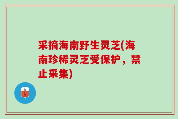 采摘海南野生灵芝(海南珍稀灵芝受保护，禁止采集)