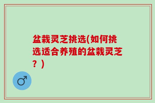 盆栽灵芝挑选(如何挑选适合养殖的盆栽灵芝？)