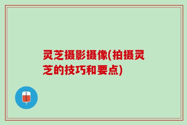 灵芝摄影摄像(拍摄灵芝的技巧和要点)