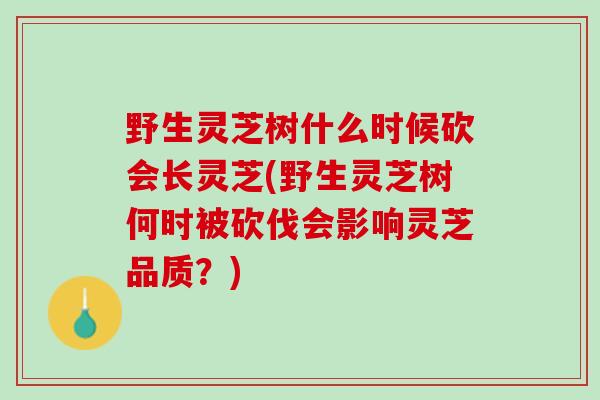 野生灵芝树什么时候砍会长灵芝(野生灵芝树何时被砍伐会影响灵芝品质?) 野生灵芝树什么时候砍会长灵芝(野生灵芝树何时被砍伐会影响灵芝品质?)