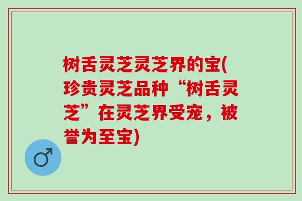 树舌灵芝灵芝界的宝(珍贵灵芝品种“树舌灵芝”在灵芝界受宠，被誉为至宝)