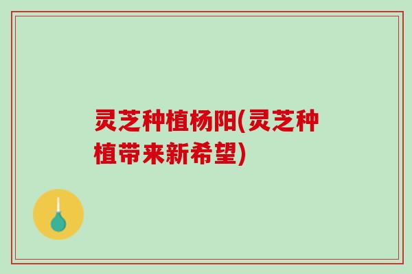 灵芝种植杨阳(灵芝种植带来新希望)