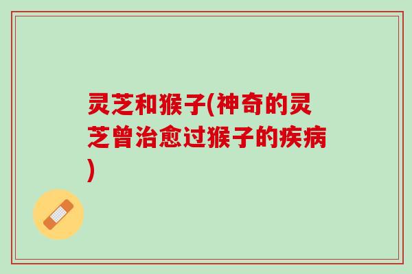 灵芝和猴子(神奇的灵芝曾治愈过猴子的疾病)