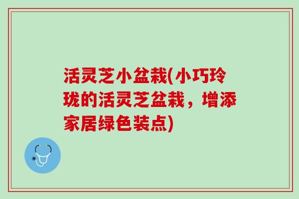 活灵芝小盆栽(小巧玲珑的活灵芝盆栽,增添家居绿色装点) 活灵芝小盆栽(小巧玲珑的活灵芝盆栽,增添家居绿色装点)