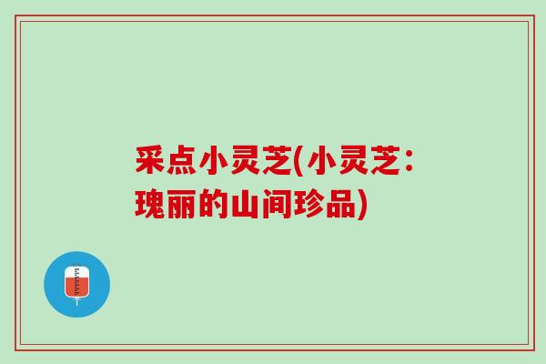 采点小灵芝(小灵芝：瑰丽的山间珍品)