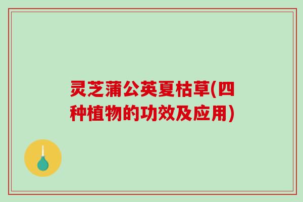 灵芝蒲公英夏枯草(四种植物的功效及应用)