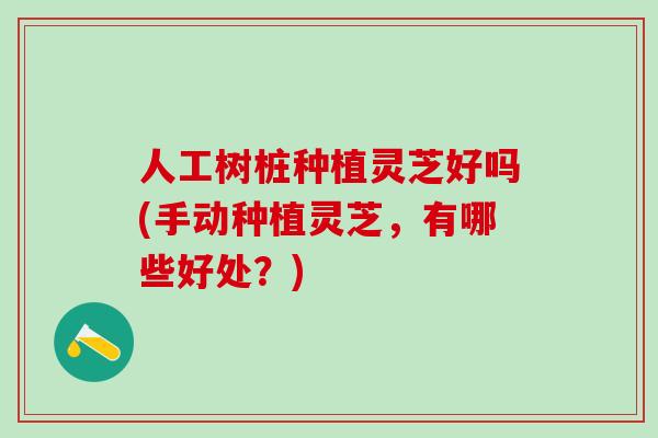 人工树桩种植灵芝好吗(手动种植灵芝，有哪些好处？)