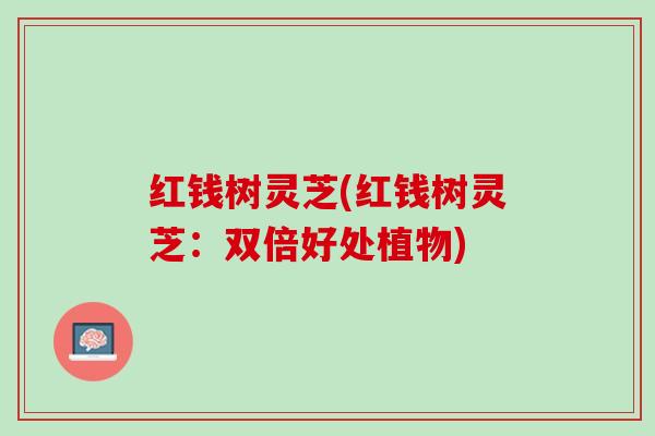 红钱树灵芝(红钱树灵芝:双倍好处植物) 红钱树灵芝(红钱树灵芝:双倍好处植物)