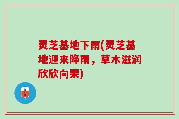 灵芝基地下雨(灵芝基地迎来降雨,草木滋润欣欣向荣) 灵芝基地下雨(灵芝基地迎来降雨,草木滋润欣欣向荣)
