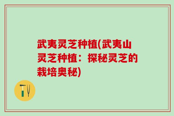 武夷灵芝种植(武夷山灵芝种植:探秘灵芝的栽培奥秘) 武夷灵芝种植(武夷山灵芝种植:探秘灵芝的栽培奥秘)