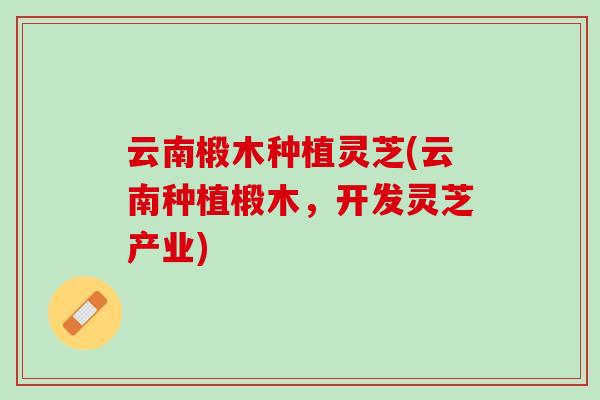 云南椴木种植灵芝(云南种植椴木,开发灵芝产业) 云南椴木种植灵芝(云南种植椴木,开发灵芝产业)