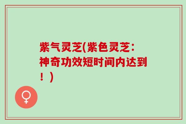 紫气灵芝(紫色灵芝:神奇功效短时间内达到!) 紫气灵芝(紫色灵芝:神奇功效短时间内达到!)