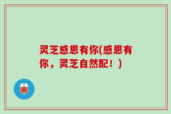 灵芝感恩有你(感恩有你，灵芝自然配！)