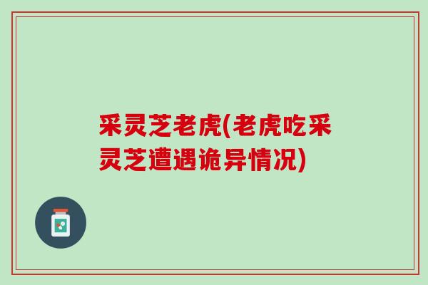 采灵芝老虎(老虎吃采灵芝遭遇诡异情况)