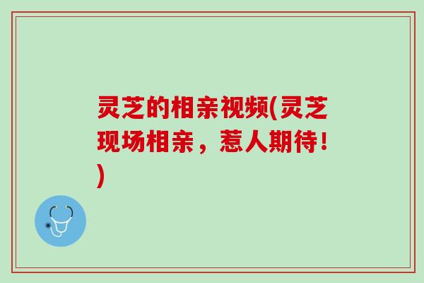 灵芝的相亲视频(灵芝现场相亲，惹人期待！)