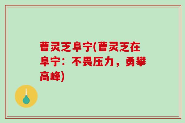 曹灵芝阜宁(曹灵芝在阜宁：不畏压力，勇攀高峰)
