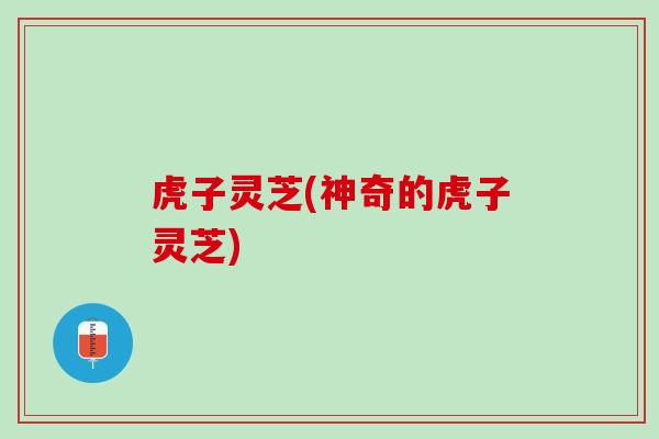 虎子灵芝(神奇的虎子灵芝)
