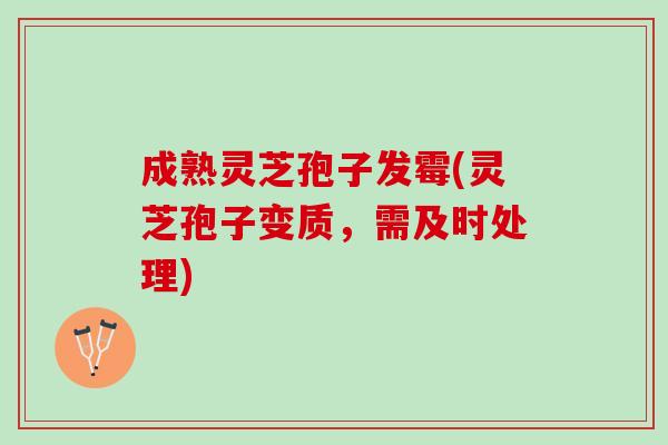 成熟灵芝孢子发霉(灵芝孢子变质，需及时处理)