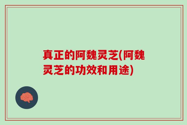 真正的阿魏灵芝(阿魏灵芝的功效和用途) 真正的阿魏灵芝(阿魏灵芝的功效和用途)