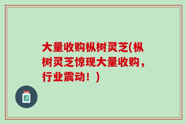 大量收购枞树灵芝(枞树灵芝惊现大量收购，行业震动！)
