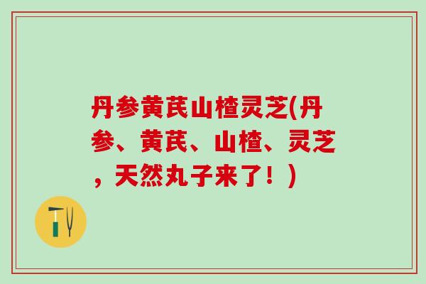 丹参黄芪山楂灵芝(丹参、黄芪、山楂、灵芝,天然丸子来了!) 丹参黄芪山楂灵芝(丹参、黄芪、山楂、灵芝,天然丸子来了!)
