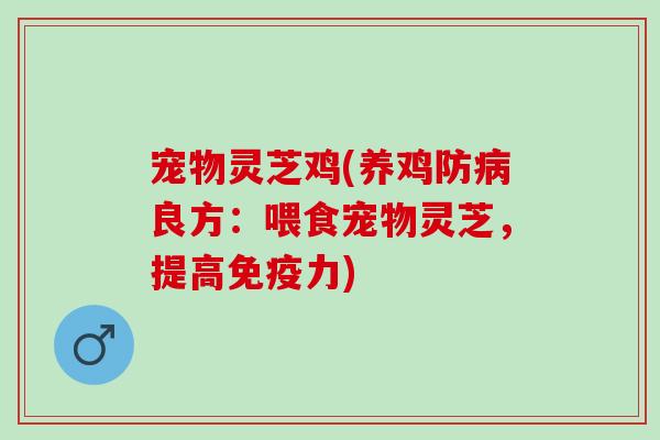 宠物灵芝鸡(养鸡防病良方：喂食宠物灵芝，提高免疫力)