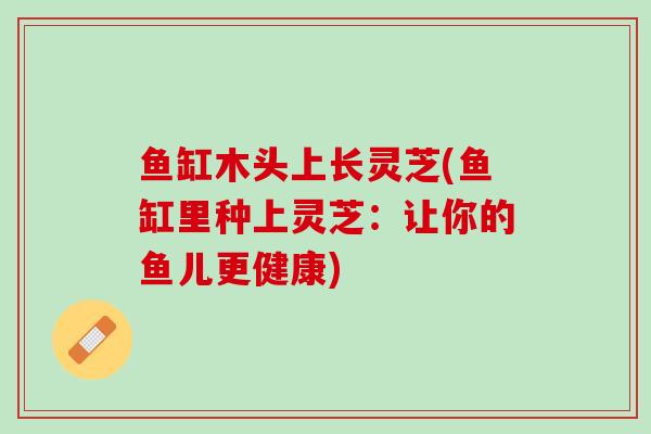 鱼缸木头上长灵芝(鱼缸里种上灵芝：让你的鱼儿更健康)