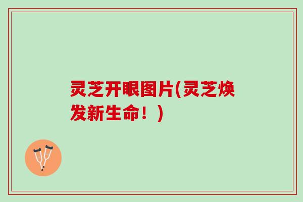 灵芝开眼图片(灵芝焕发新生命！)