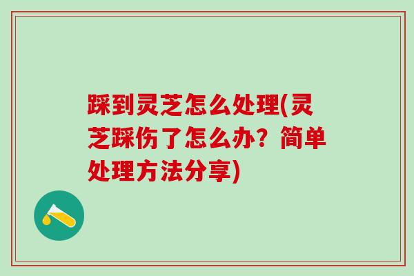 踩到灵芝怎么处理(灵芝踩伤了怎么办？简单处理方法分享)